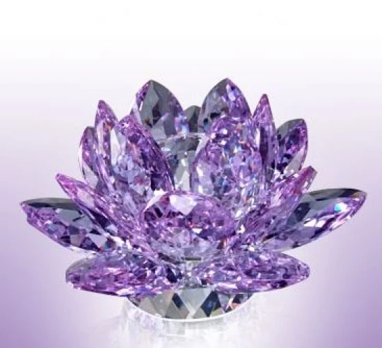  (設備轉讓) 葵芳商場水晶零售店 