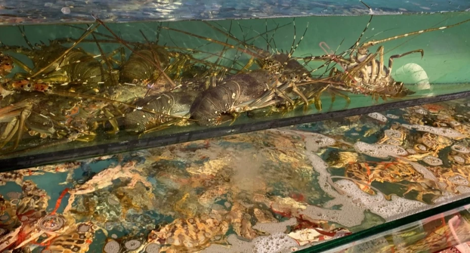 [生意轉讓] 葵涌高利潤民生海鮮檔